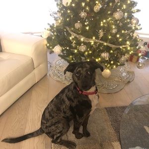 Meet your Posher, Stacey